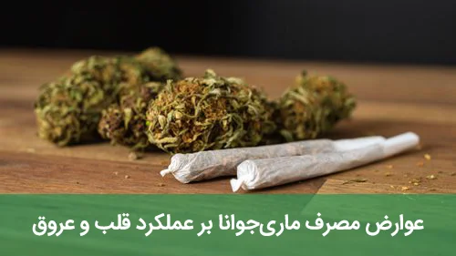 عوارض مصرف ماری‌جوانا بر عملکرد قلب و عروق