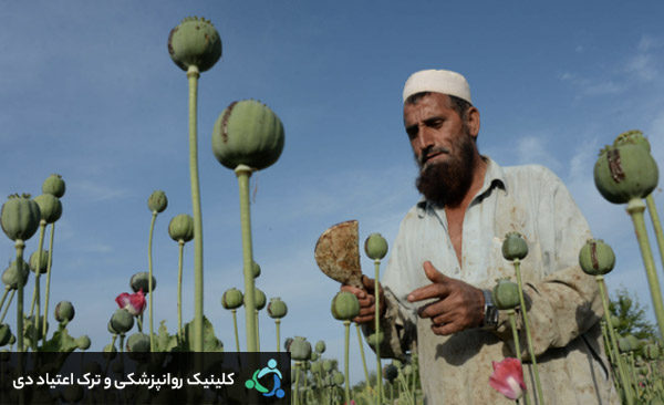 مبارزه با مواد مخدر