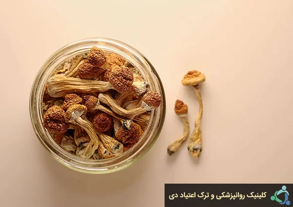 قارج جادویی