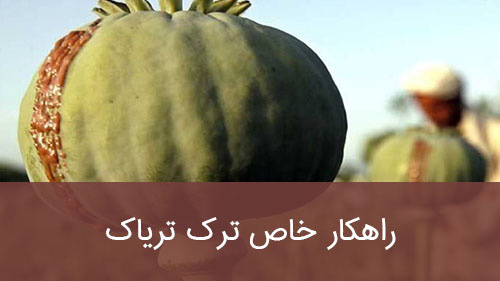 راهکار خاص ترک تریاک