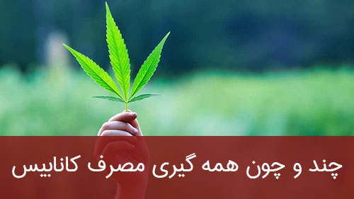 چند و چون همه گیری مصرف کانابیس