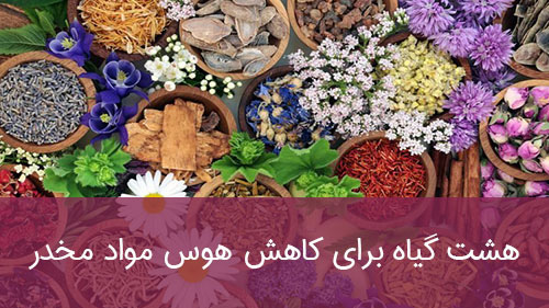 گیاهان دارویی برای کاهش هوس مواد مخدر