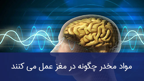 مواد مخدر چگونه در مغز عمل می کنند