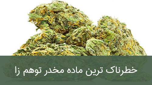 خطرناک ترین ماده مخدر توهم زا