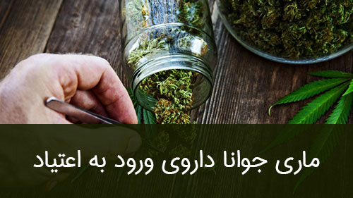 ماری جوانا داروی ورود به اعتیاد