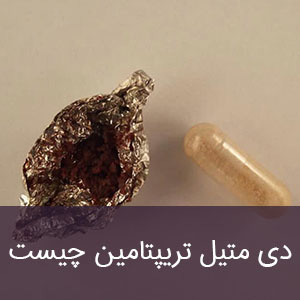 دی متیل تریپتامین چیست