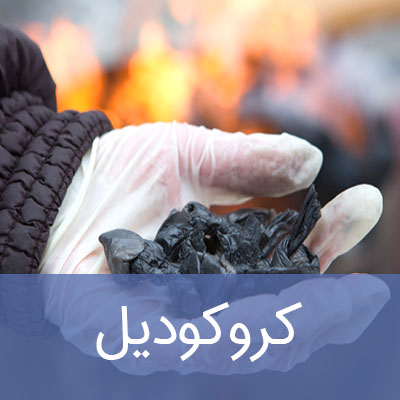 کروکودیل