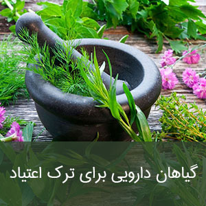 گیاهان دارویی برای ترک اعتیاد