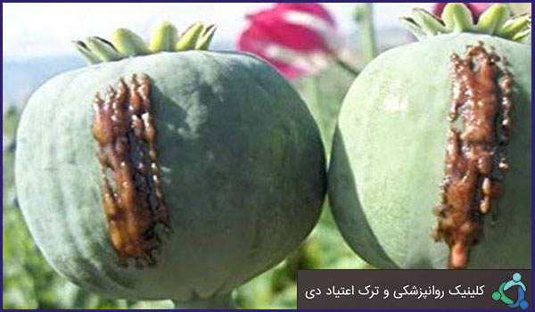 راهکار خاص ترک تریاک