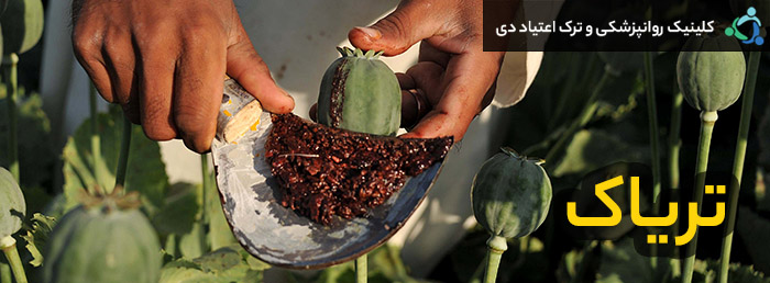 مواد تریاکی