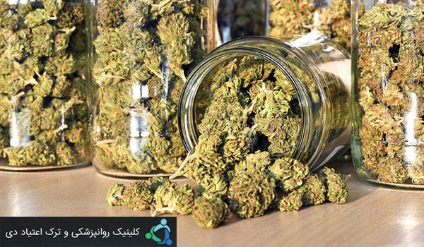آثار مصرف ماری جوانا بر جامعه