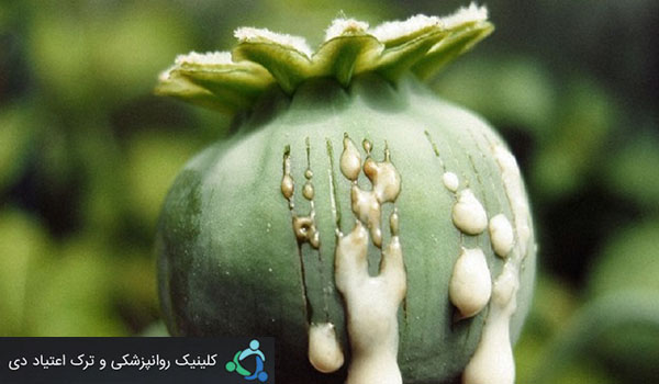 آثار مصرف مواد افیونی