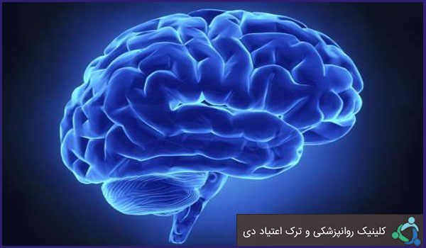 مواد مخدر چگونه در مغز عمل می کنند