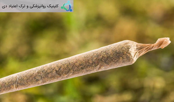چگونه ماری جوانا روی ذهن و بدن شما تأثیر می گذارد
