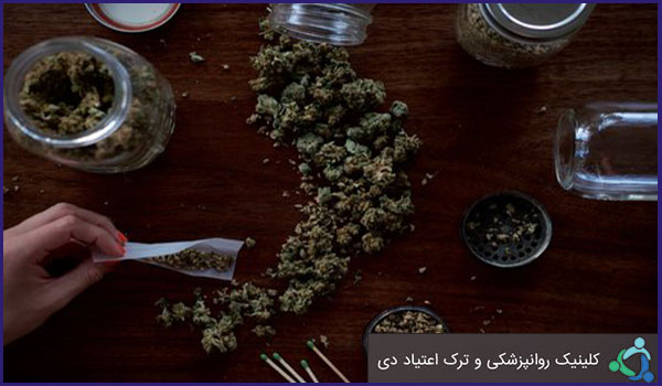 ماری جوانا داروی ورود به اعتیاد