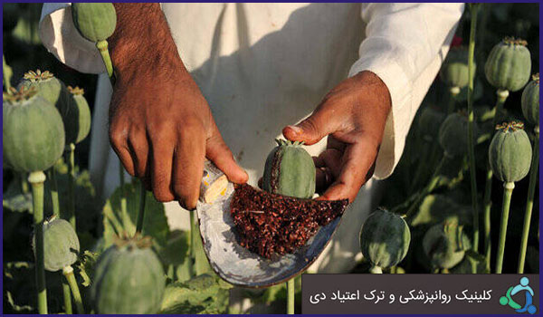 تریاک نوشدارو است