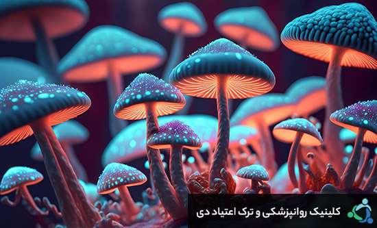 قارچ جادویی