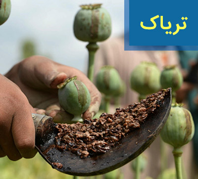 تریاک