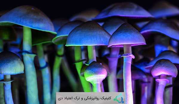 مسمومیت با قارچ های جادویی