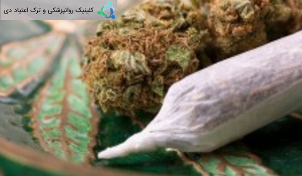 نقش-کانابینوئیدها