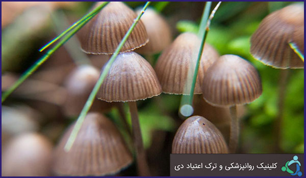بارزترین علل گرایش به مصرف مواد مخدر