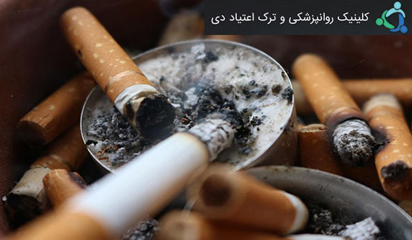 دام دخانیات