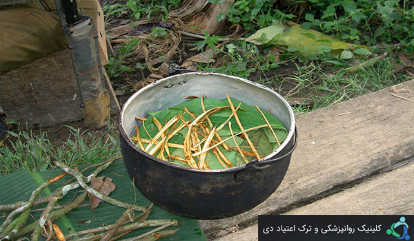 آیواسکا چیست